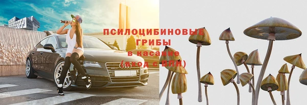 амф Богородск