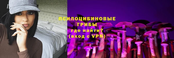 экстази Богданович