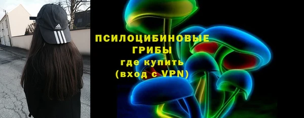 тгк Богородицк