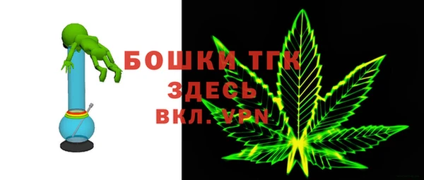 амф Богородск