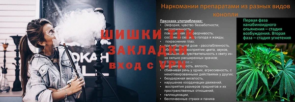 экстази Богданович