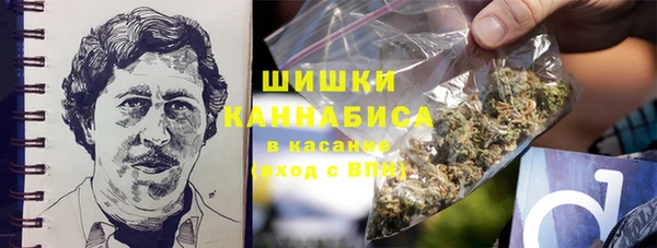 амф Богородск